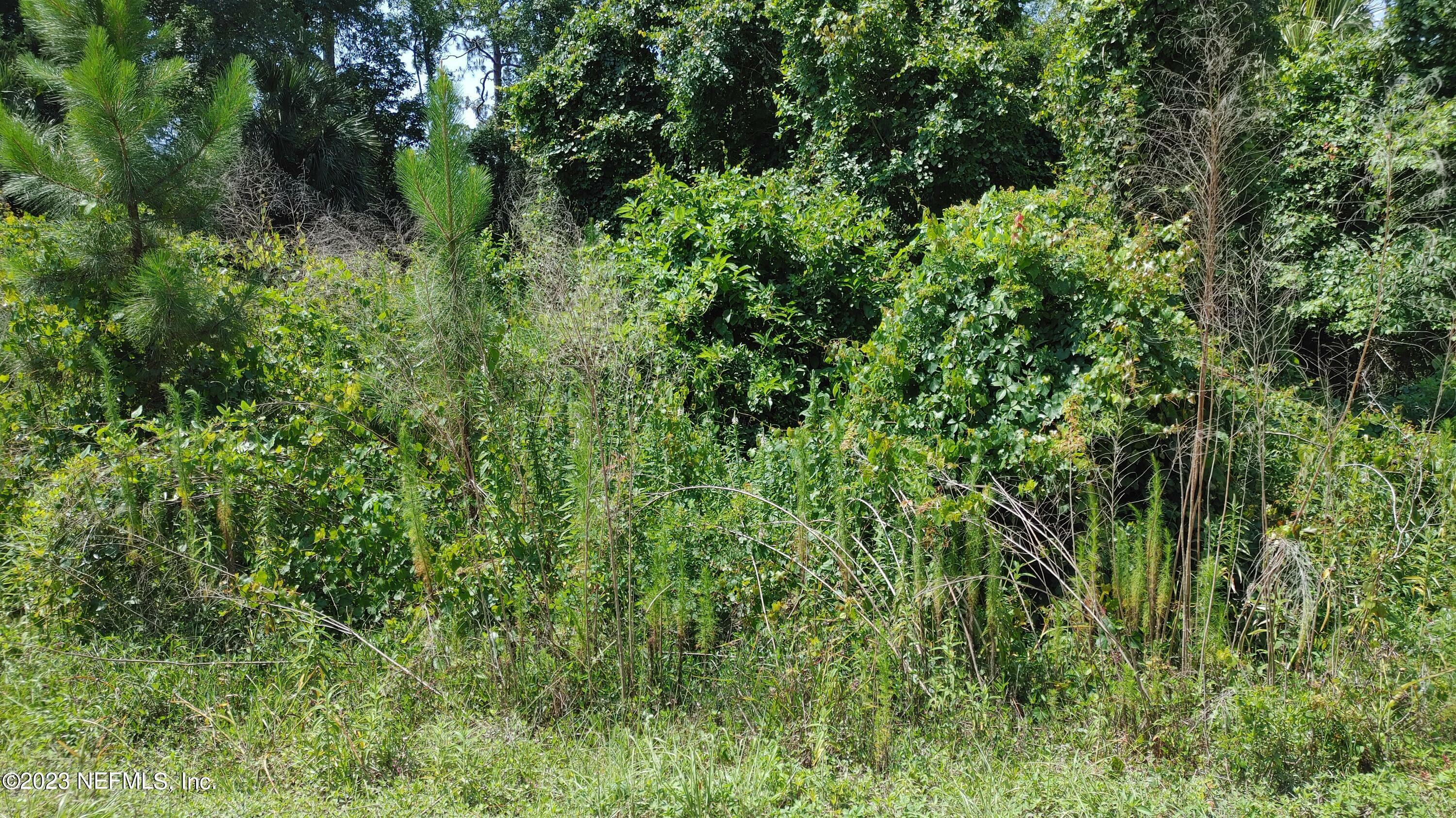 Property Photo: 214 Dolphin Drive FL 32139