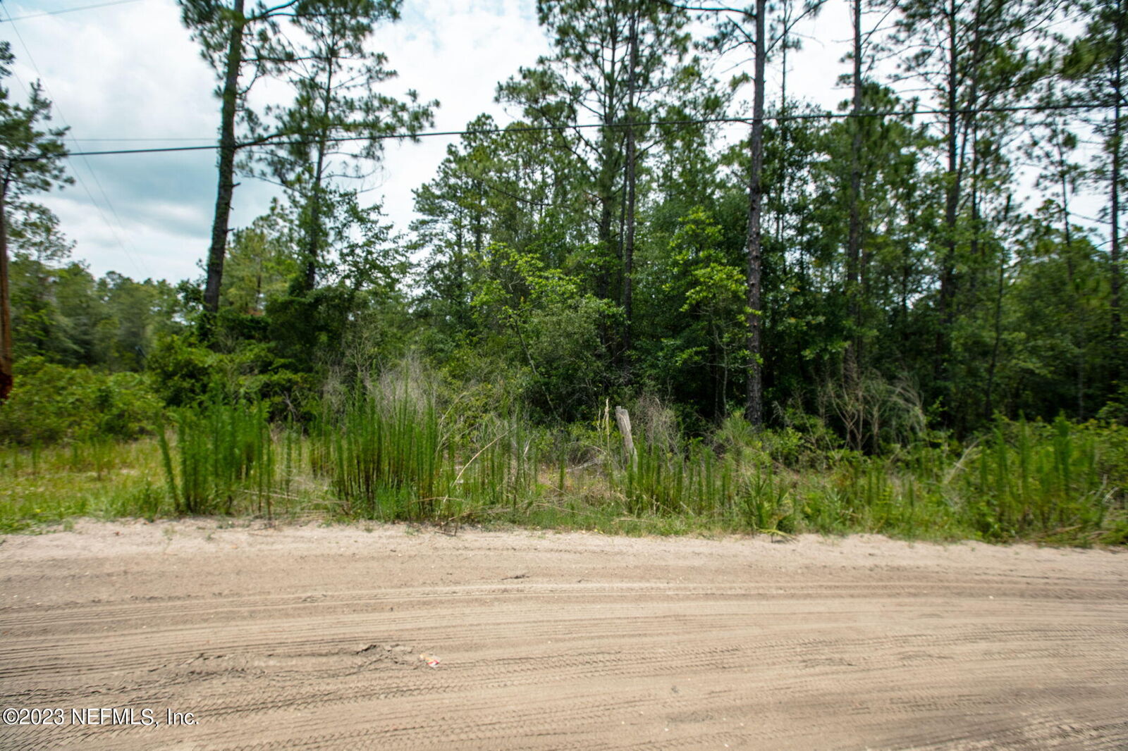 Property Photo: 4491 Bondarenko Road FL 32656