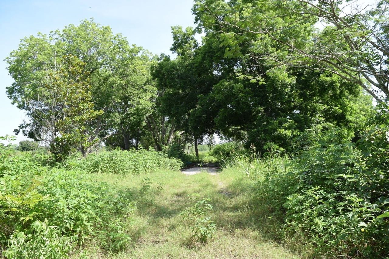 Property Photo:  0000 Wise Rd  TX 77665 