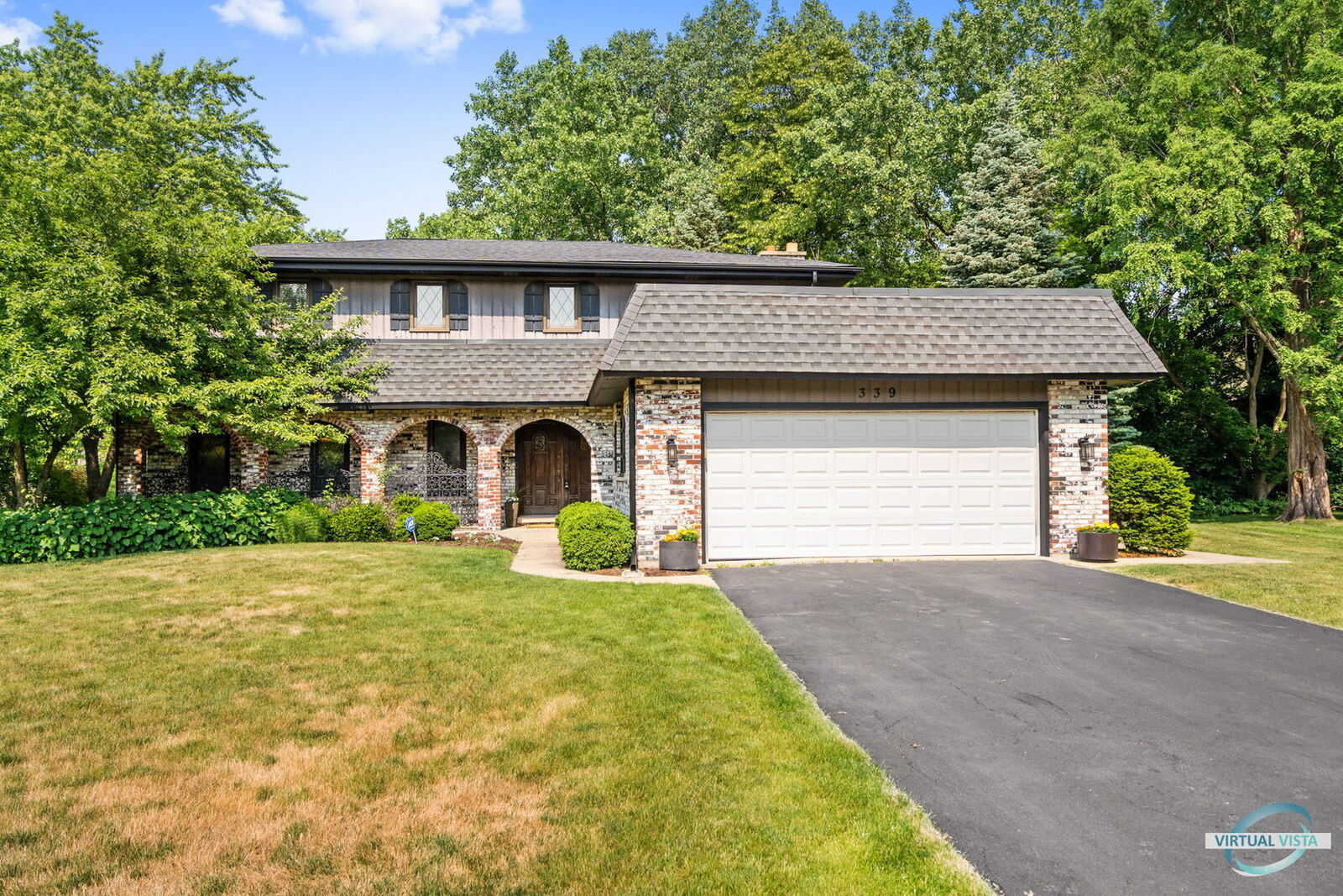 Property Photo:  339 Hackberry Court  IL 60191 