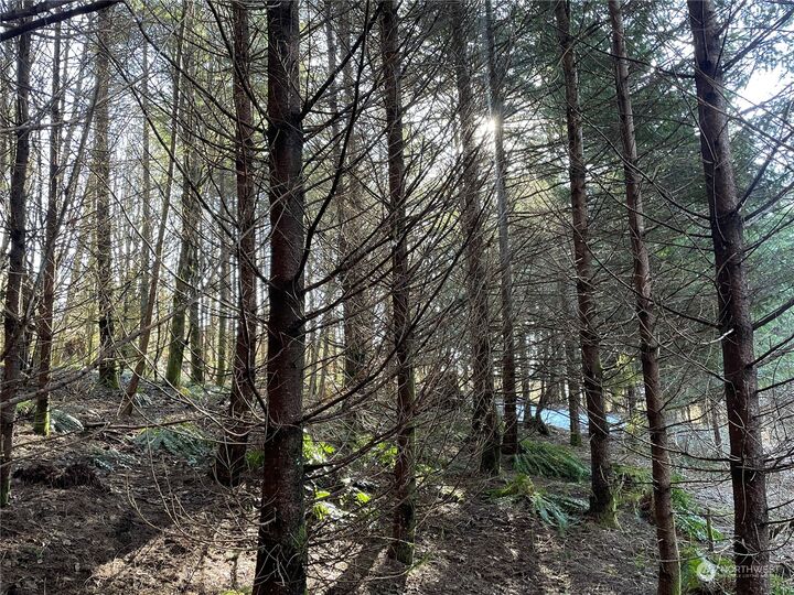 Property Photo:  0 Highway 503  WA 98674 