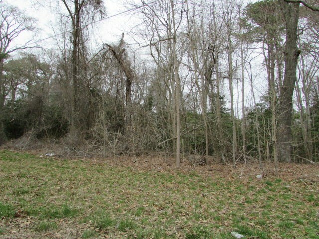 Property Photo:  Lot 13 Wallops Millpond Rd  VA 23415 