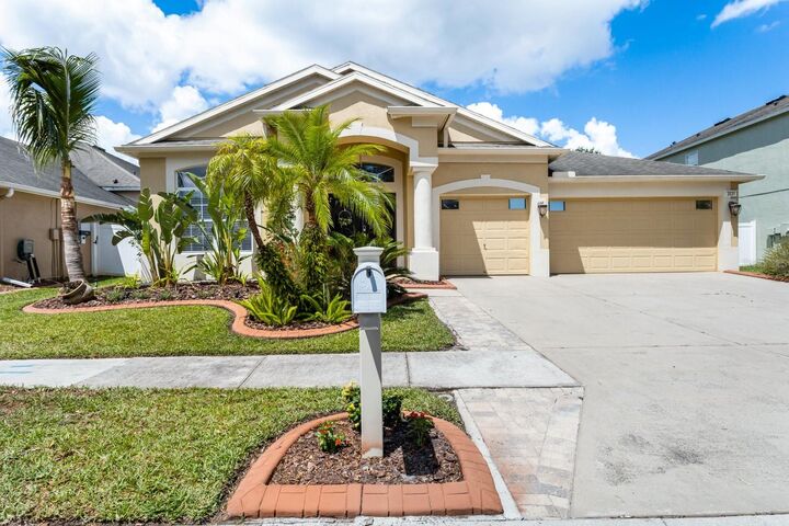 Property Photo:  3531 Fortingale Drive  FL 33543 