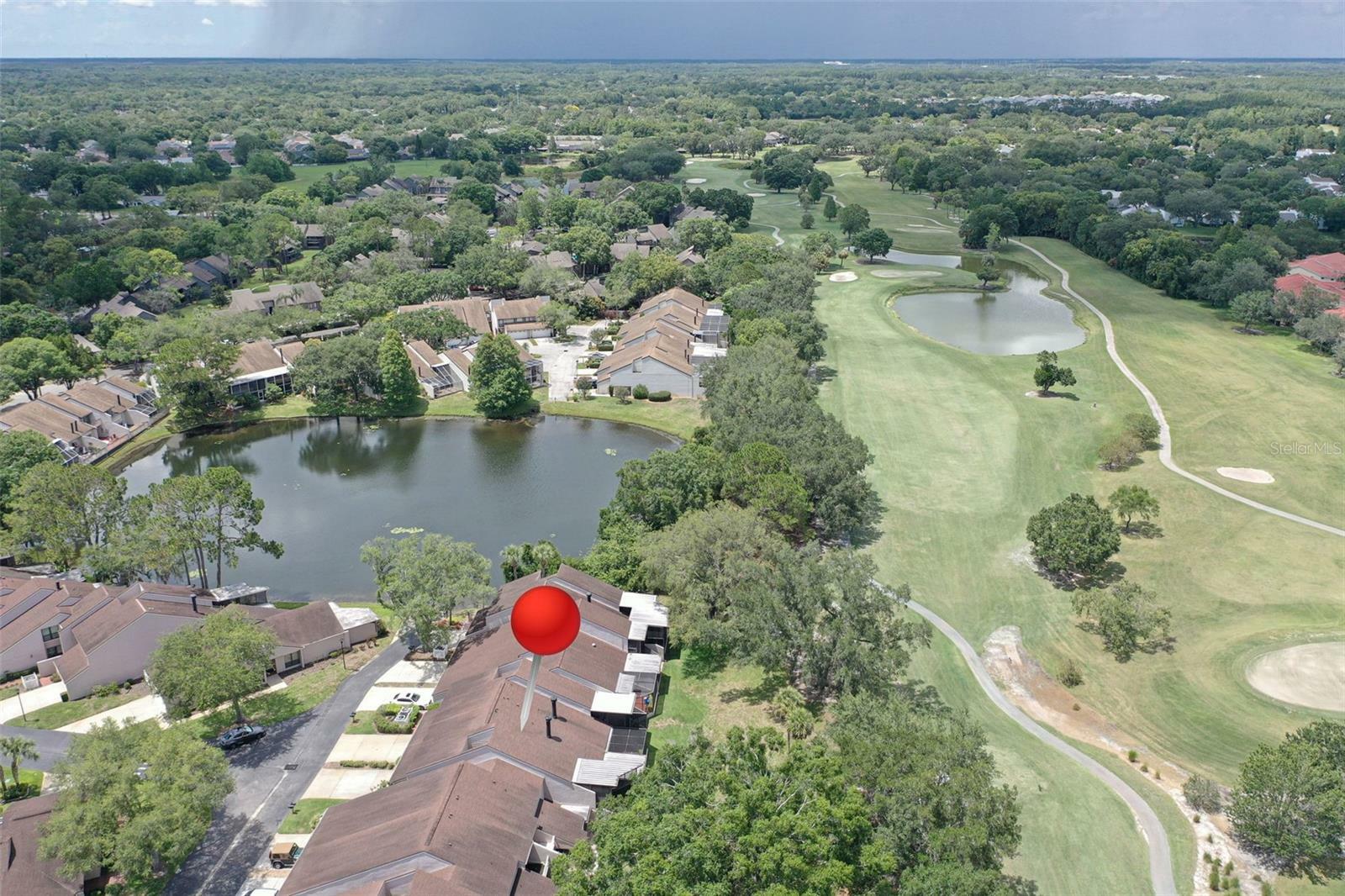Property Photo: 4213 Hartwood Lane FL 33618