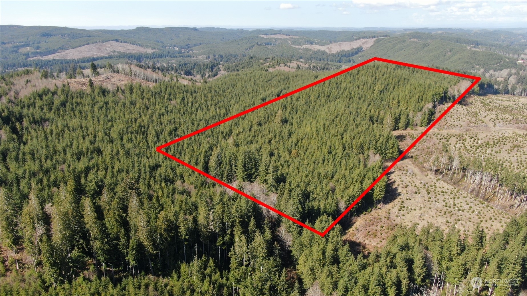 Property Photo:  0 Off Of Lund Road  WA 98537 