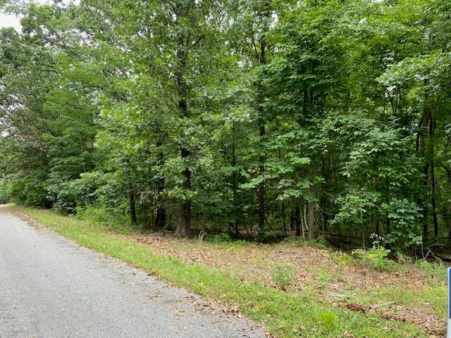 Property Photo:  Lot 8 & 9, Block 4 Castlebay Circle  AR 72715 