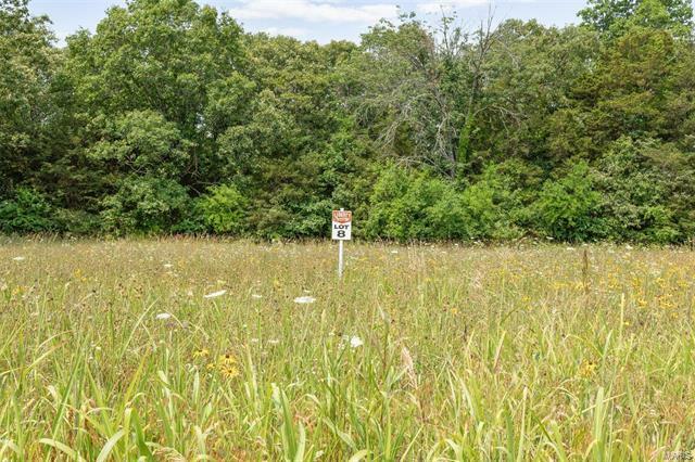 Property Photo: 0 Lot #8 Liberty Crossing Trail MO 63050