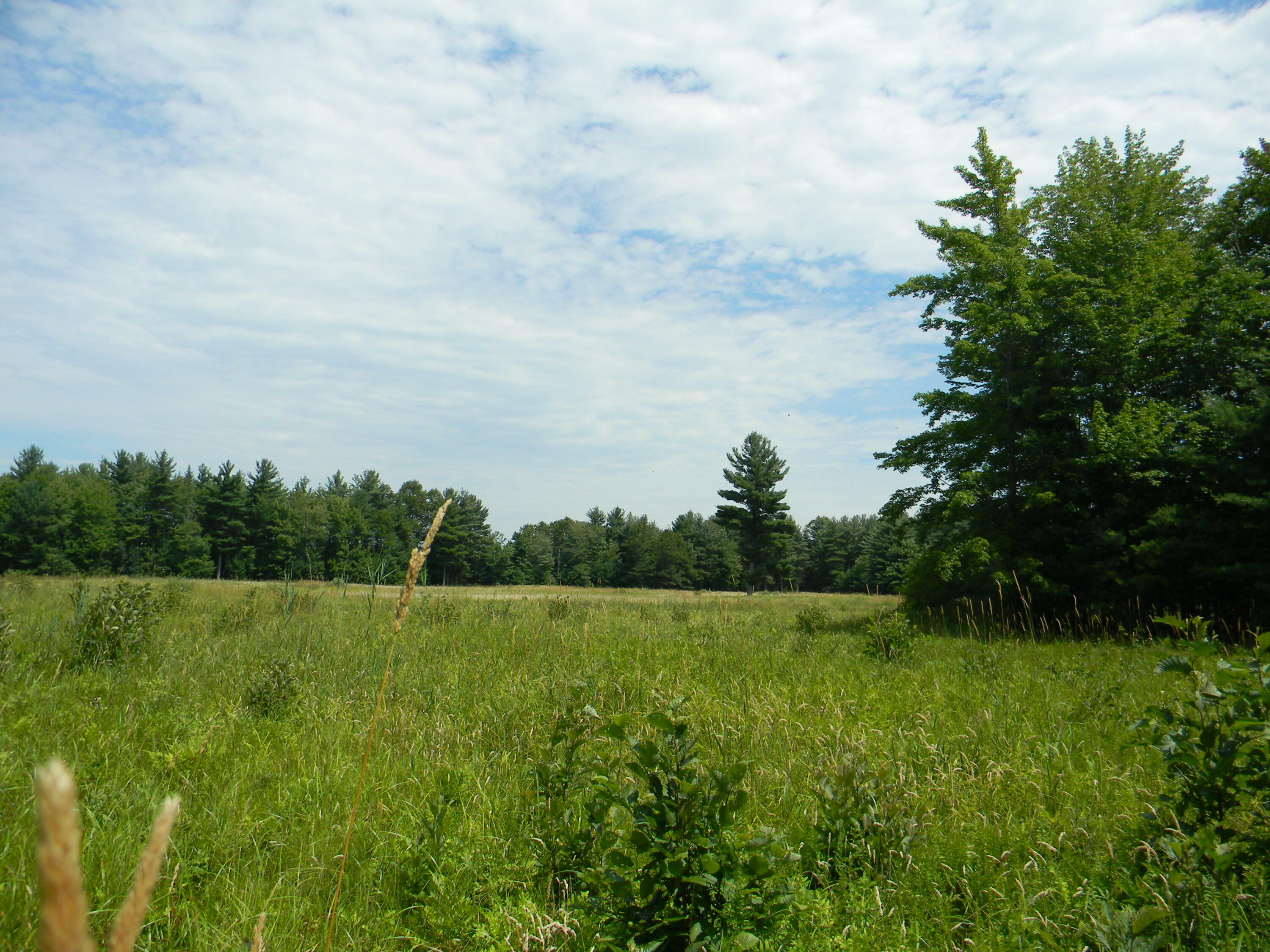 Property Photo: V/L W Hammett Road MI 49449