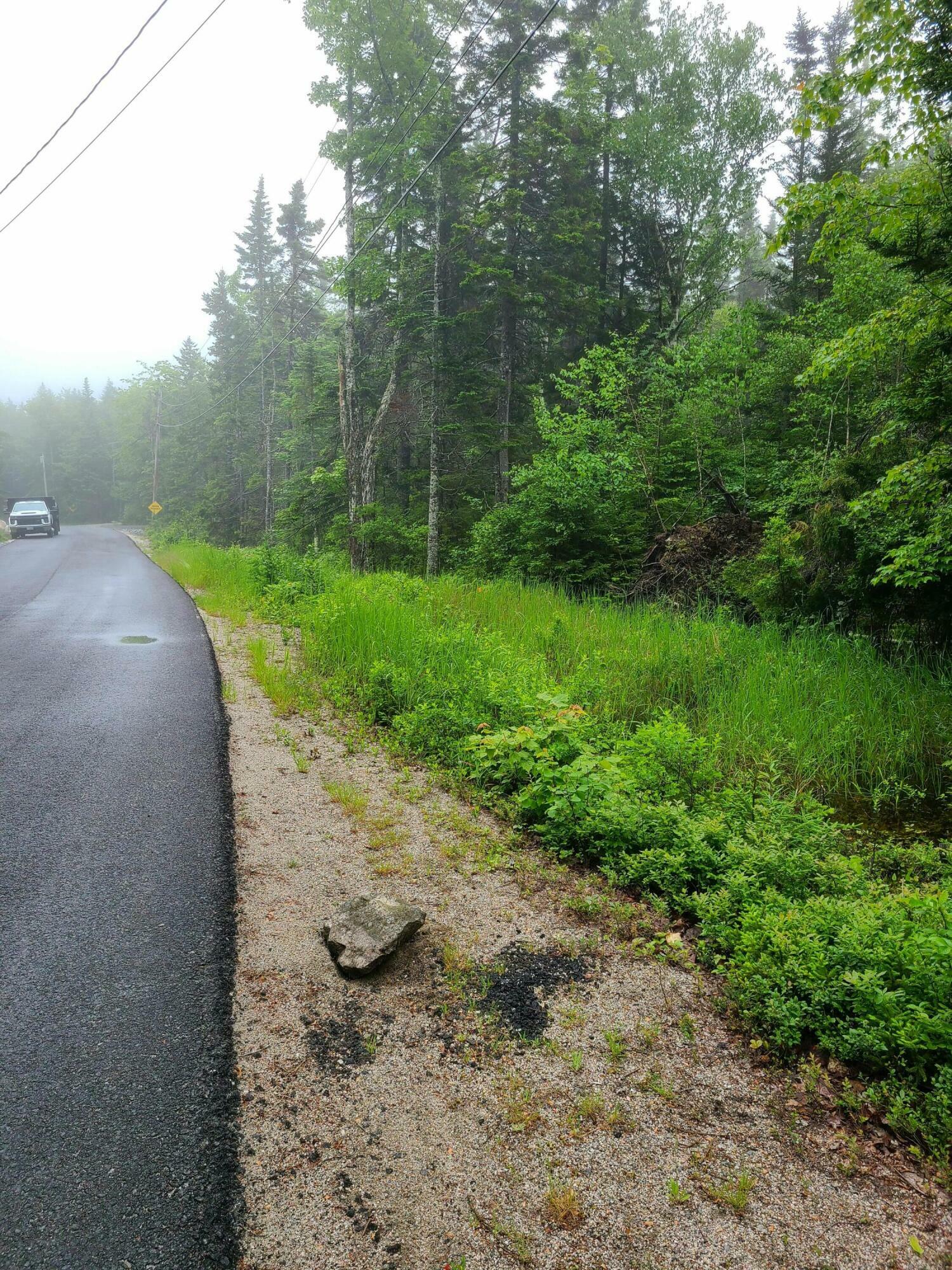 Property Photo: Lot 52 Paul Bunyan Road ME 04607