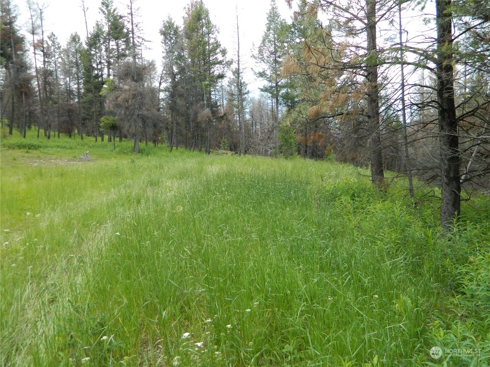 MLS2132470 0 Tbd Bonaparte Lake Road, Tonasket, WA 98855