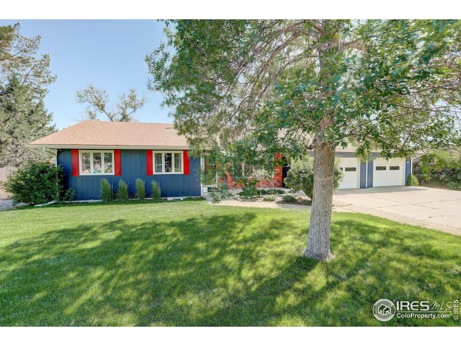 Property Photo:  4817 Springer Dr  CO 80524 
