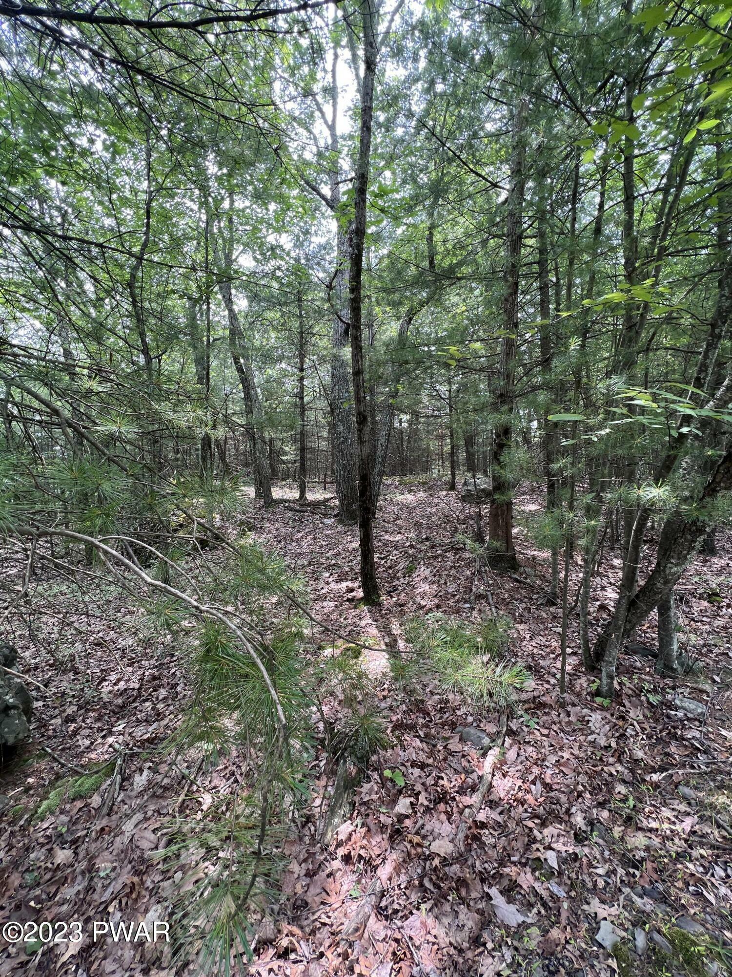 Property Photo:  139 Pitch Pine  PA 18328 