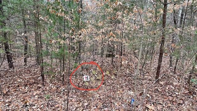 Property Photo: Lot 15 Woods Haven Lane VA 24171
