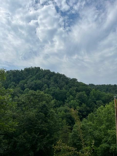 Property Photo:  4562 Crane Creek Road Parcel #3  KY 40962 