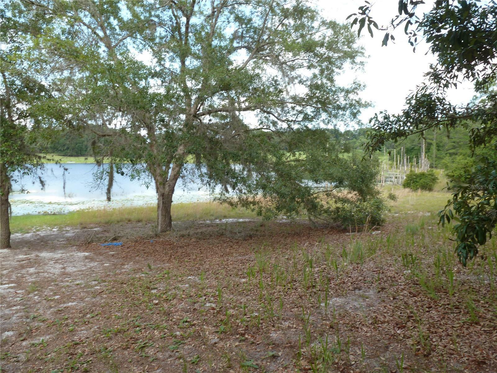 Property Photo:  8219 Lake Echo Ridge Drive  FL 32666 