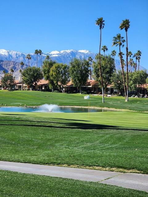206 Seville Circle  Palm Desert CA 92260 photo