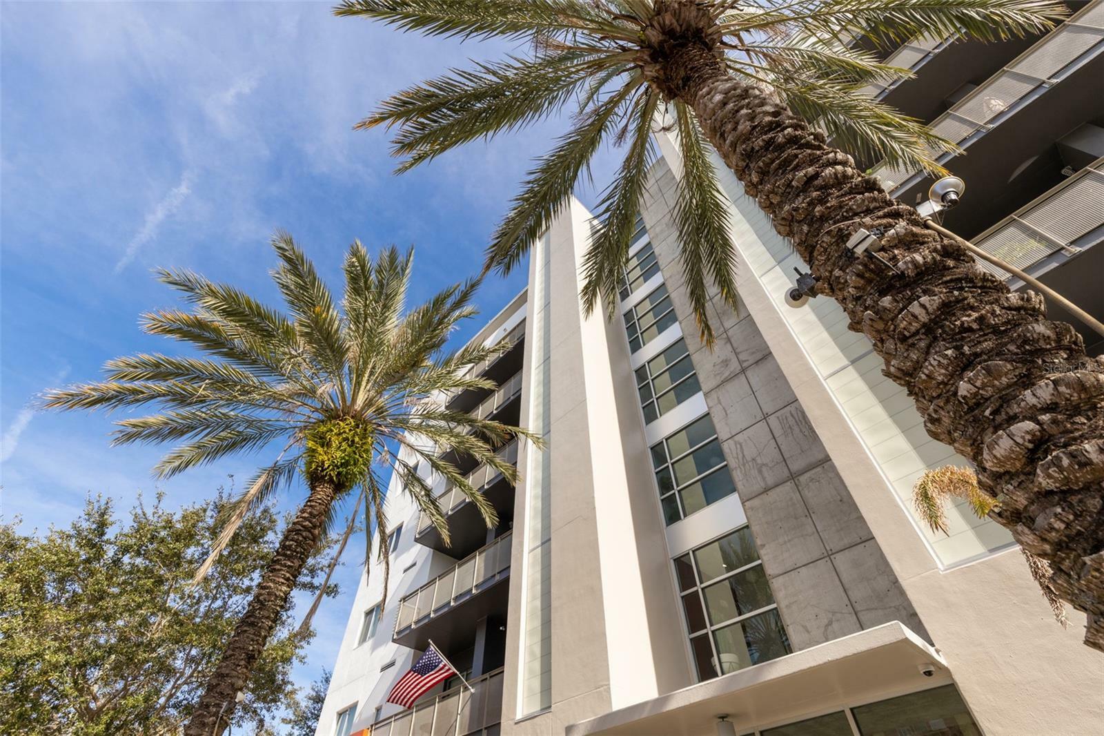 Property Photo: 475 2nd Street N 203 FL 33701