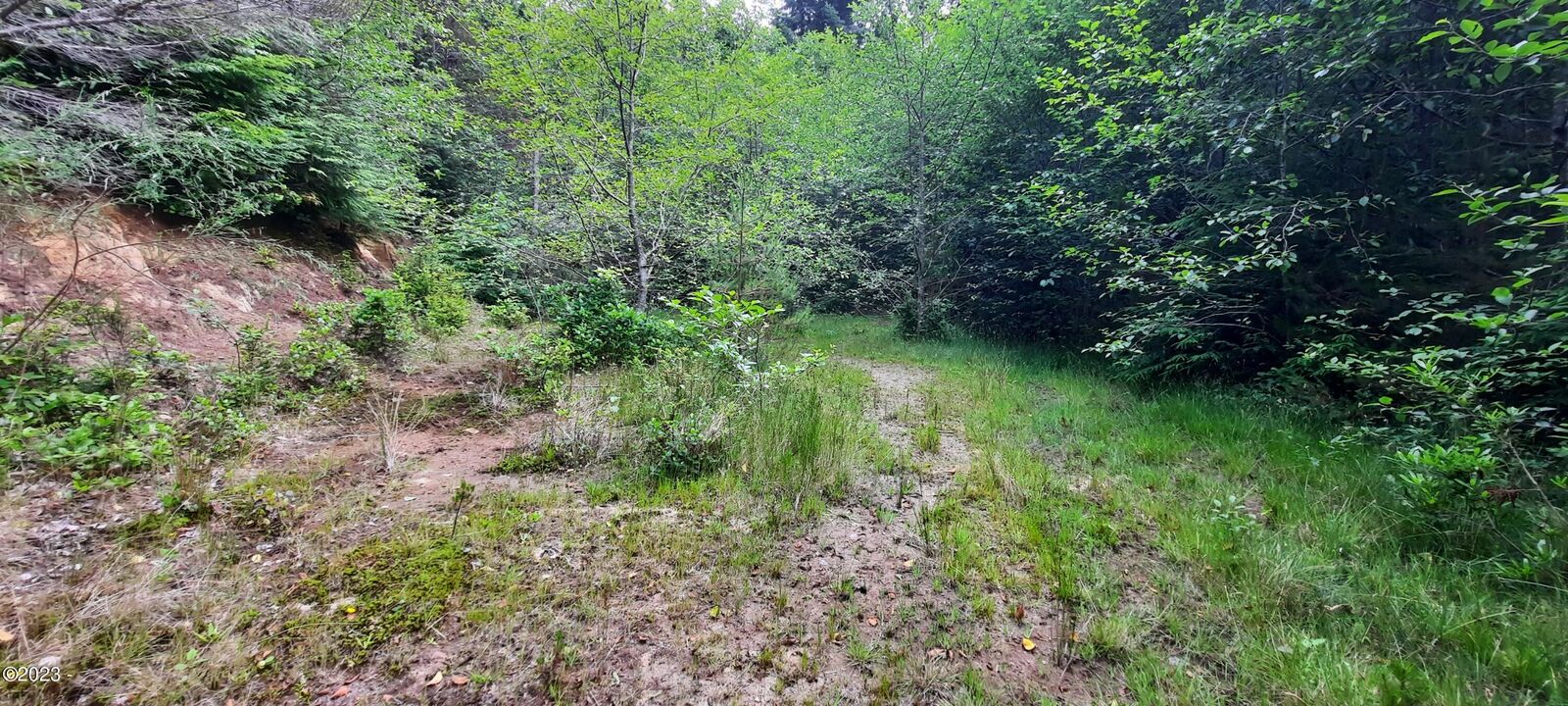 Property Photo: Tl 3300 SW Newton Drive OR 97394