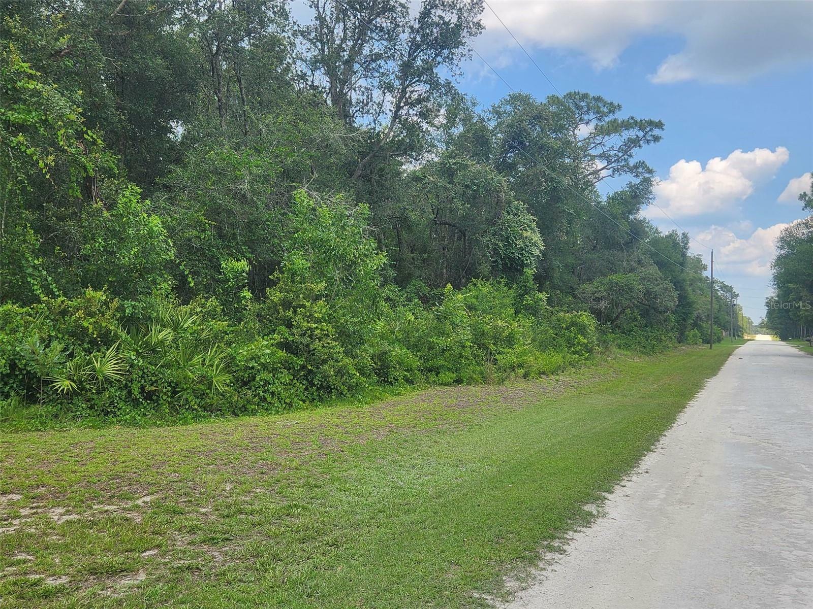 Property Photo:  33063 Easter Drive  FL 33597 