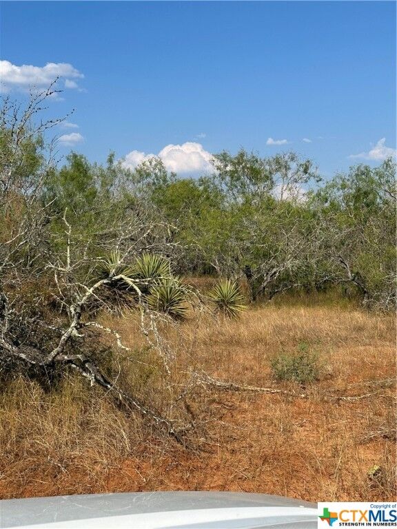 Property Photo: 5986 Fm 1107 Unit B (Tract 3) B TX 78160