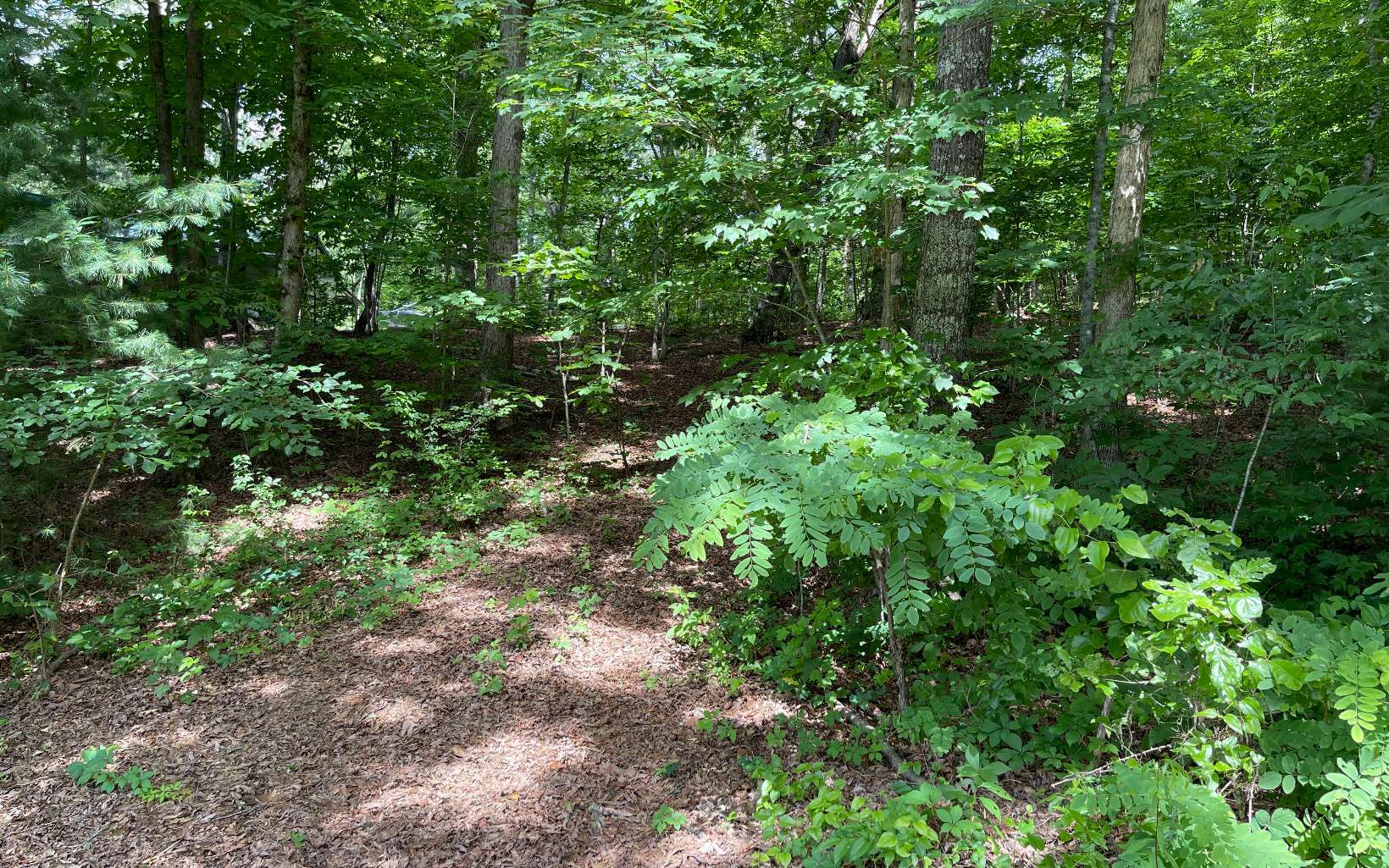 Property Photo:  Lt 4 Buena Vista Drive  NC 28904 