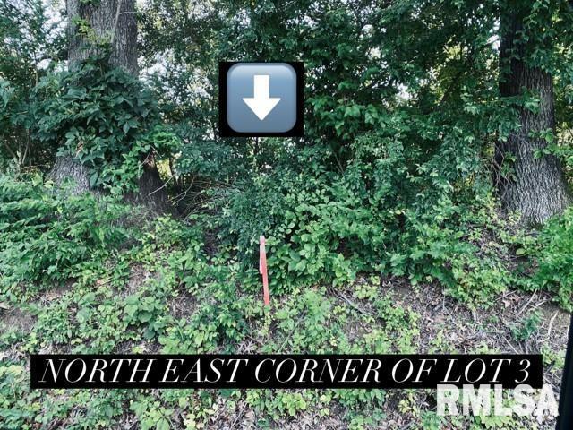 Property Photo: Lot 6 Falcon Road IL 62901