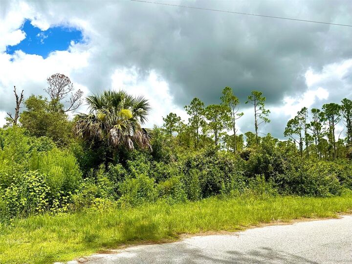 Property Photo:  Raven Street  FL 34286 