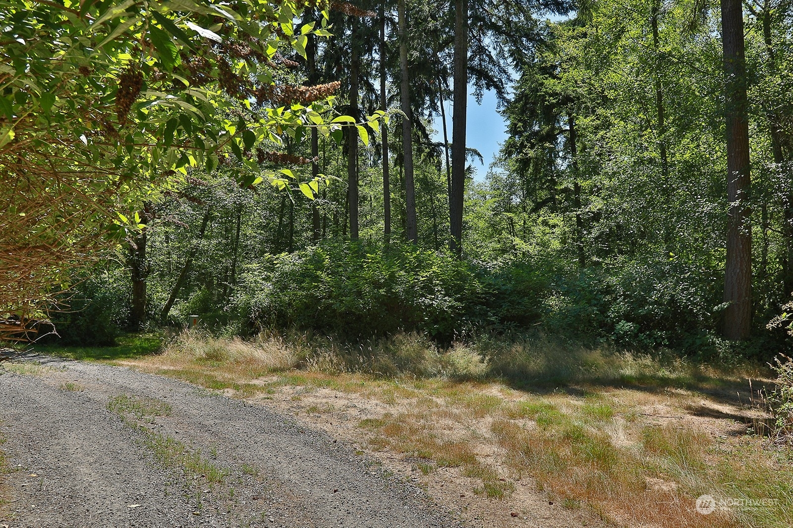 Property Photo:  0 Lot 3 Goss Lake Road  WA 98249 