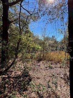 Property Photo: 10686 N Ocean Drive FL 34434