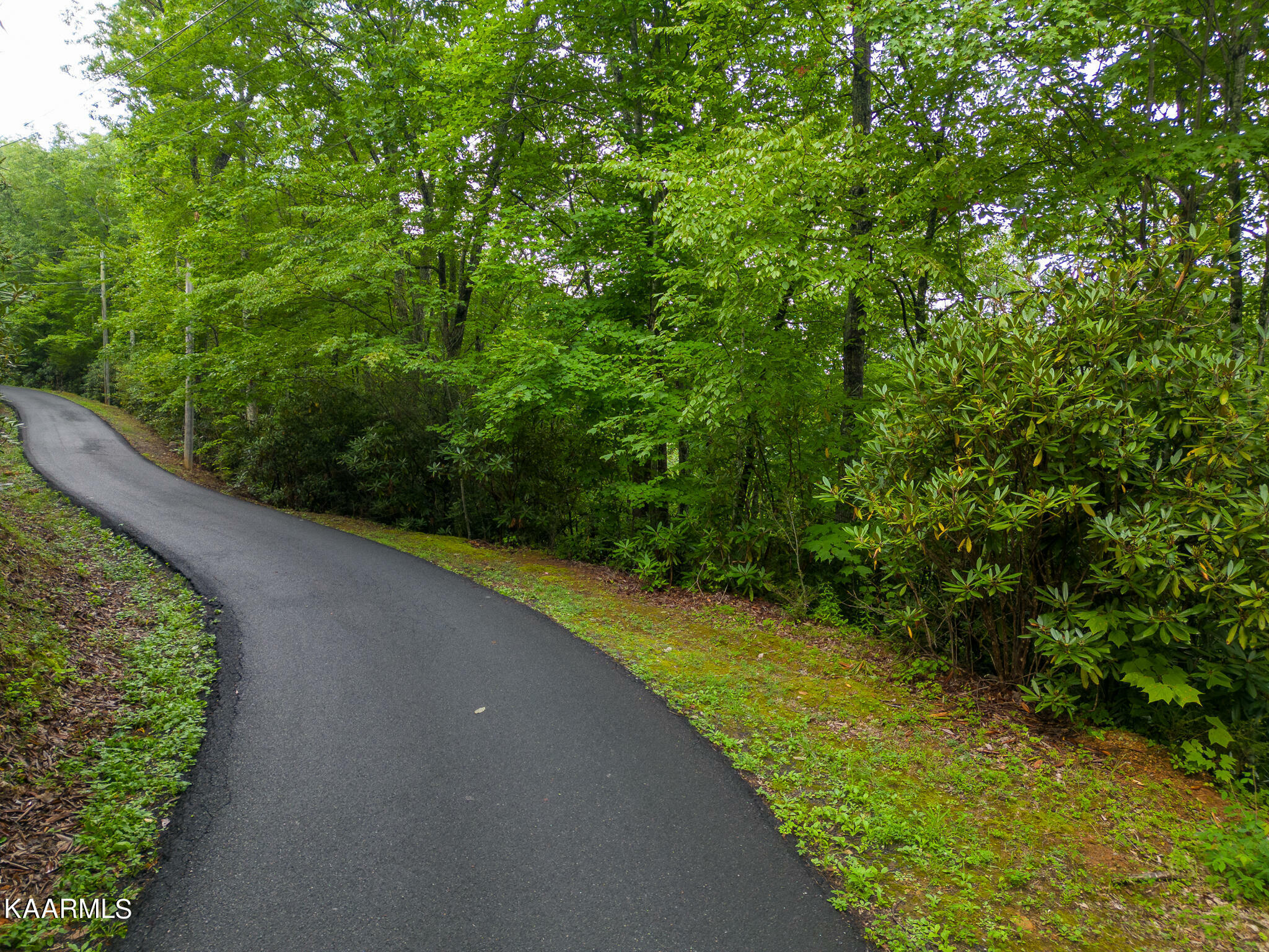 Property Photo:  Black Gum Gap Rd  TN 37738 