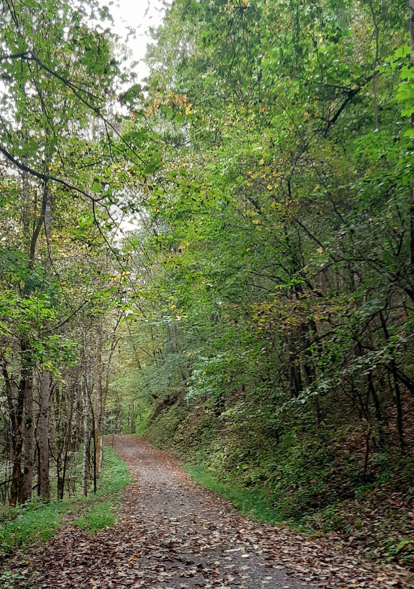 Property Photo:  Tbd Indian Creek Lane  VA 24202 