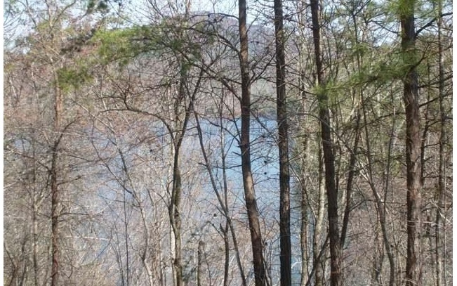 Property Photo:  Lt 27 Appalachia Cove Road  NC 28906 