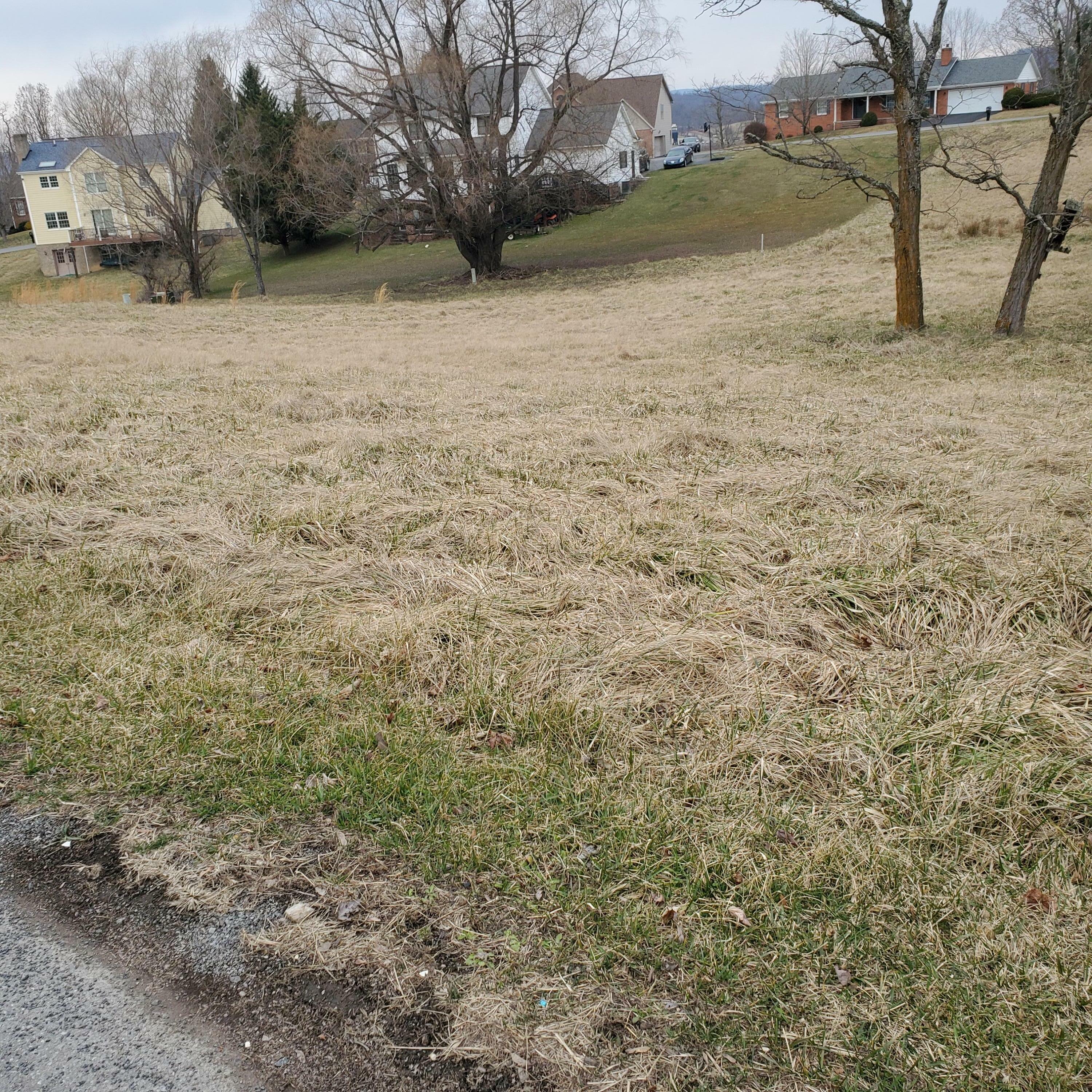 Property Photo:  Lt 53 &Amp 54 Raven View Ln  WV 24901 