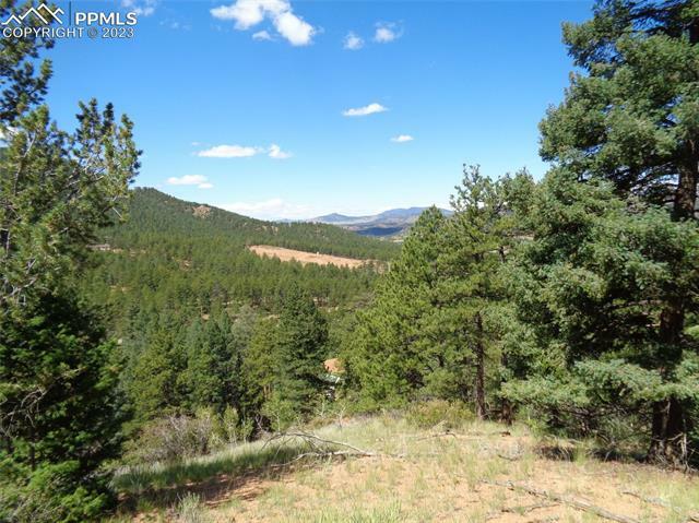 Property Photo: 186 Alpine Drive CO 80813