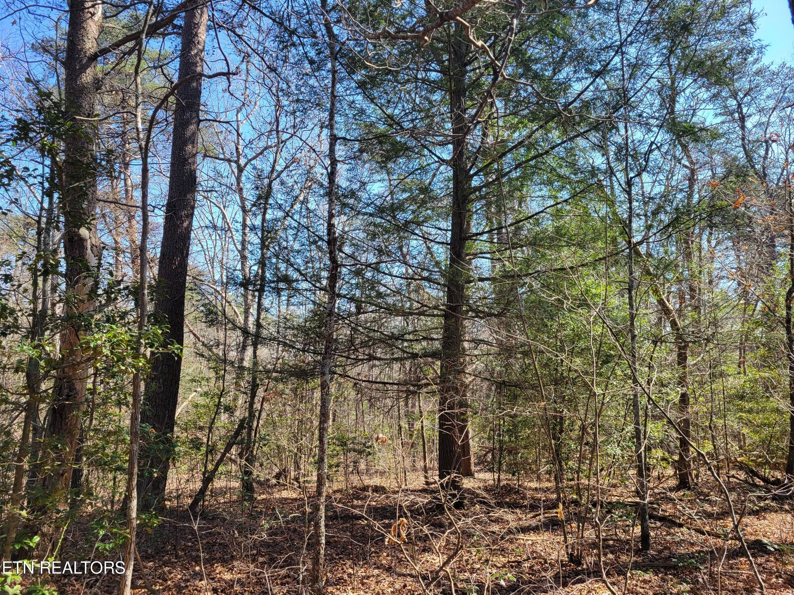 Property Photo:  Cumberland Lakes Drive  TN 38574 
