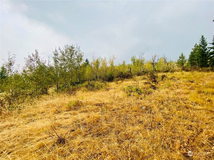 MLS2154075 9999 Lambert Creek Rd, Republic, WA 99166