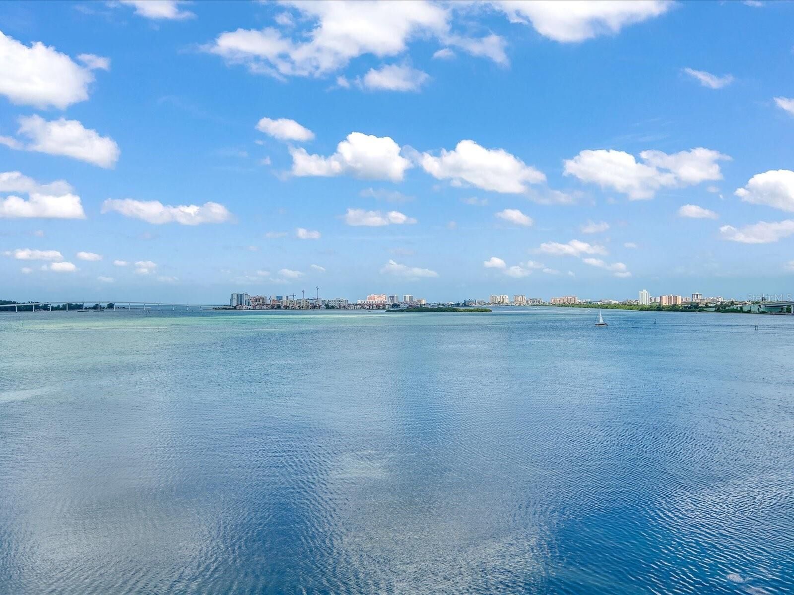 Property Photo:  602 Lime Avenue 601  FL 33756 