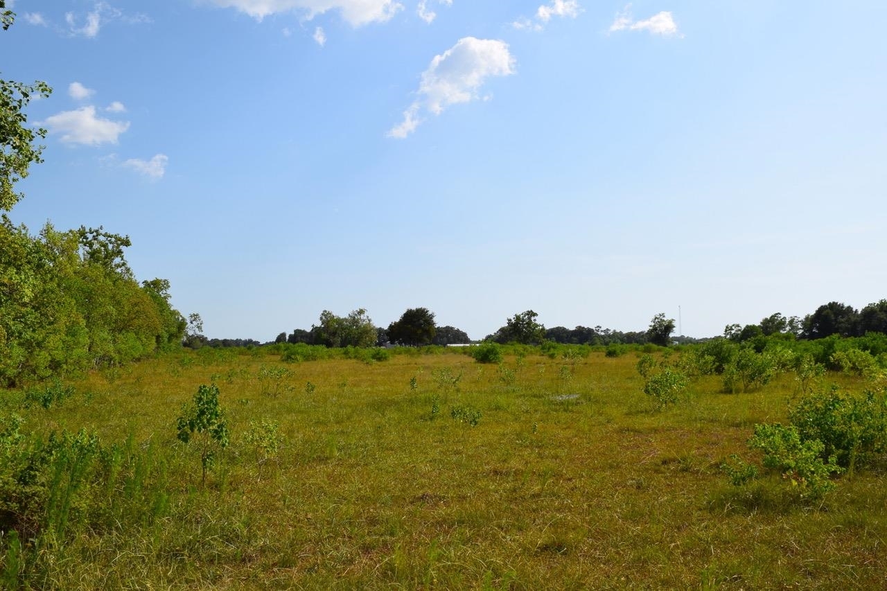 Property Photo:  000 Winzer Rd  TX 77665 