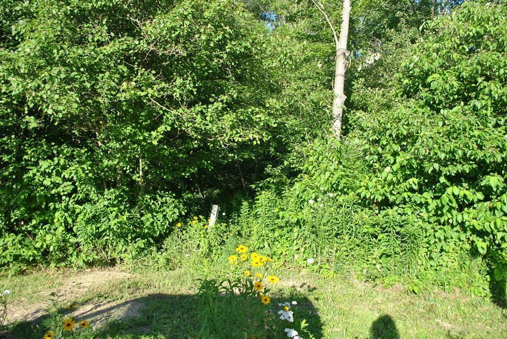 Property Photo: Mark Road PA 16509