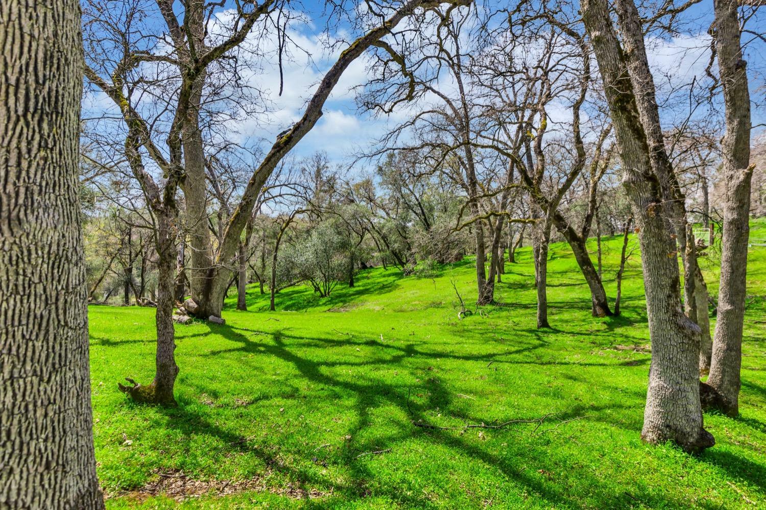 Property Photo:  2514 Cold Springs Rd  CA 95667 