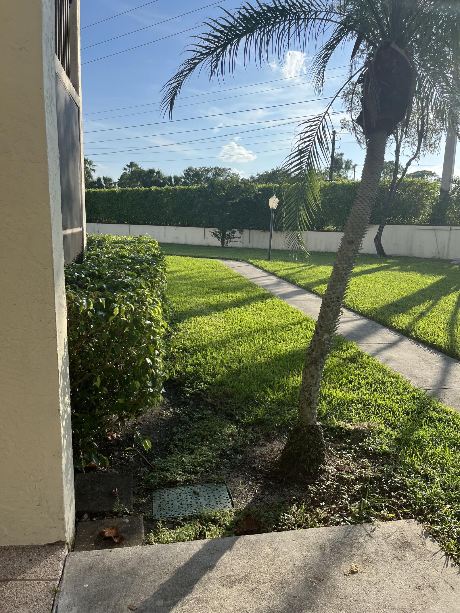 Property Photo:  4995 Sable Pine Circle B1  FL 33417 