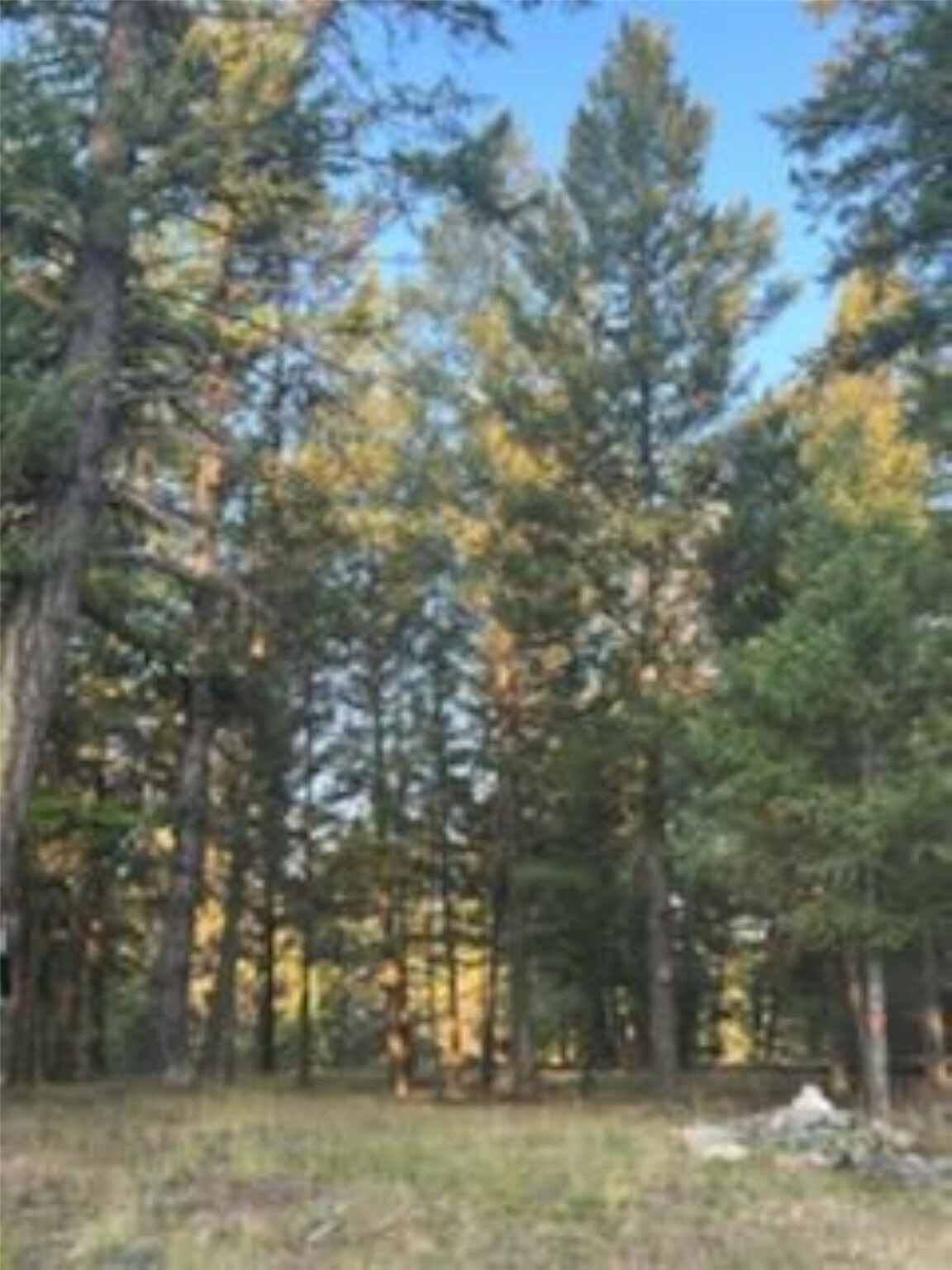 Property Photo: 90 Forest Loop MT 59917