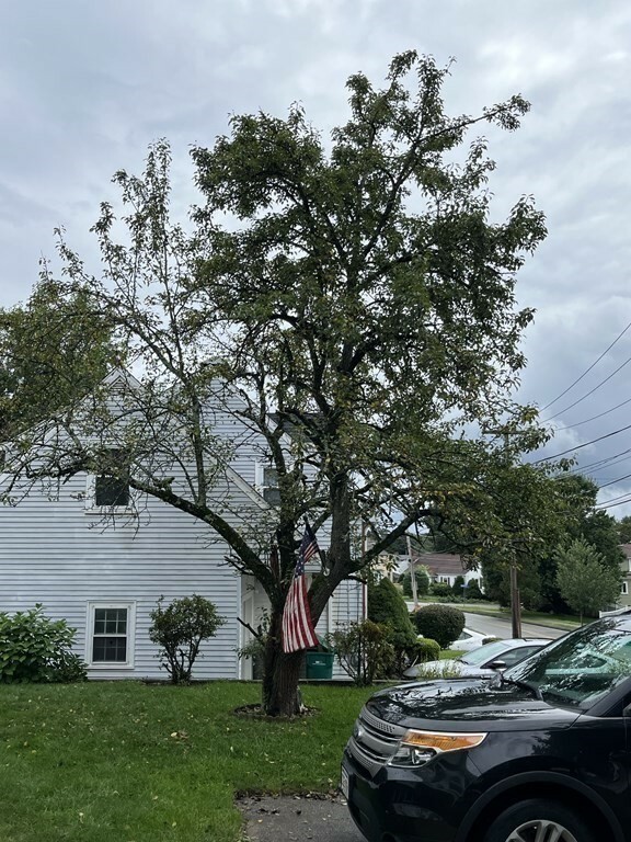 Property Photo:  324 Lenox St  MA 02062 