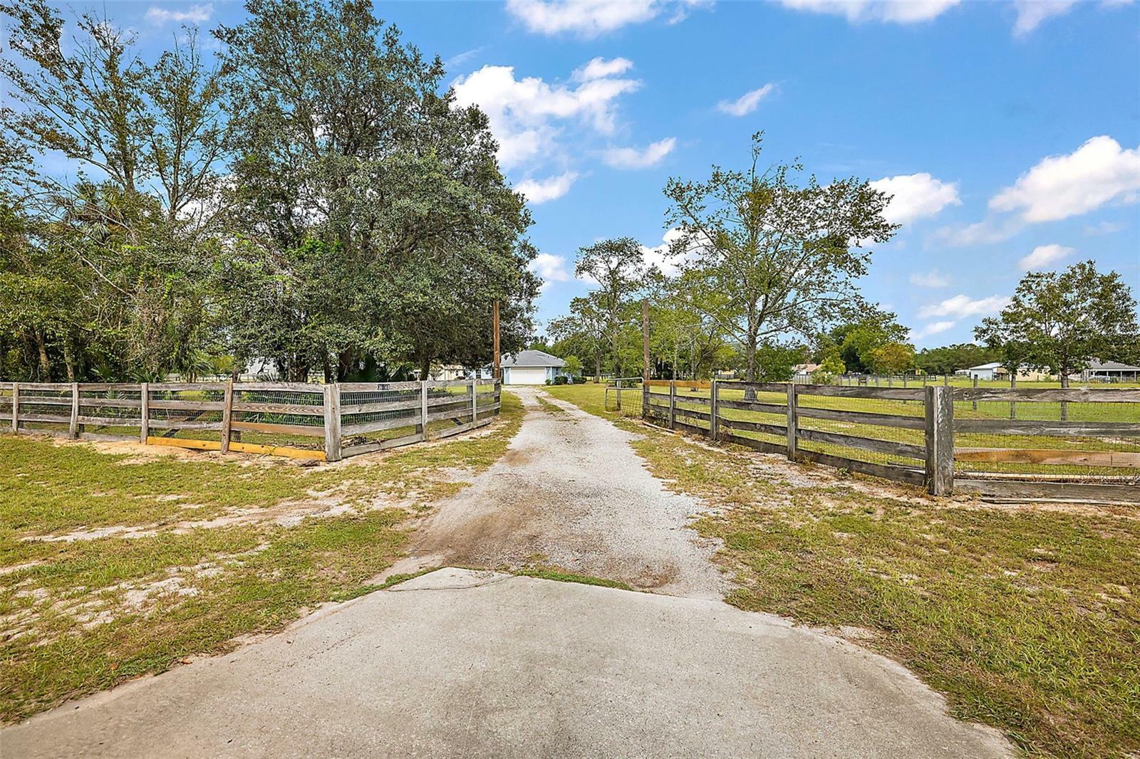 Property Photo:  36448 Forestdel Drive  FL 32736 