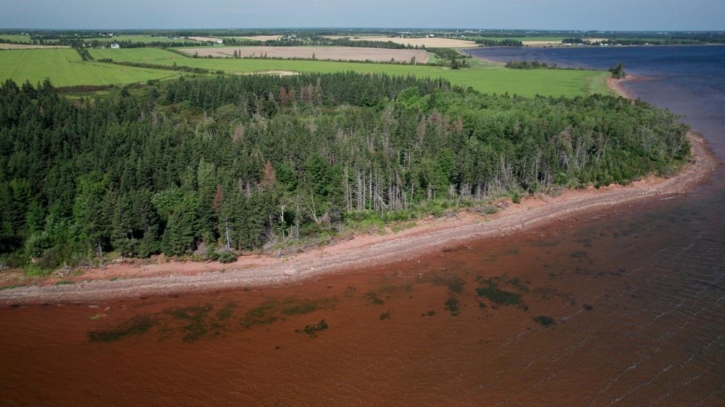Photo de la propriété: Bayside PE C0B 1Y0
