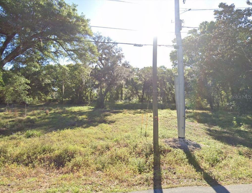 Property Photo:  19500 Old Trilby Road  FL 33523 