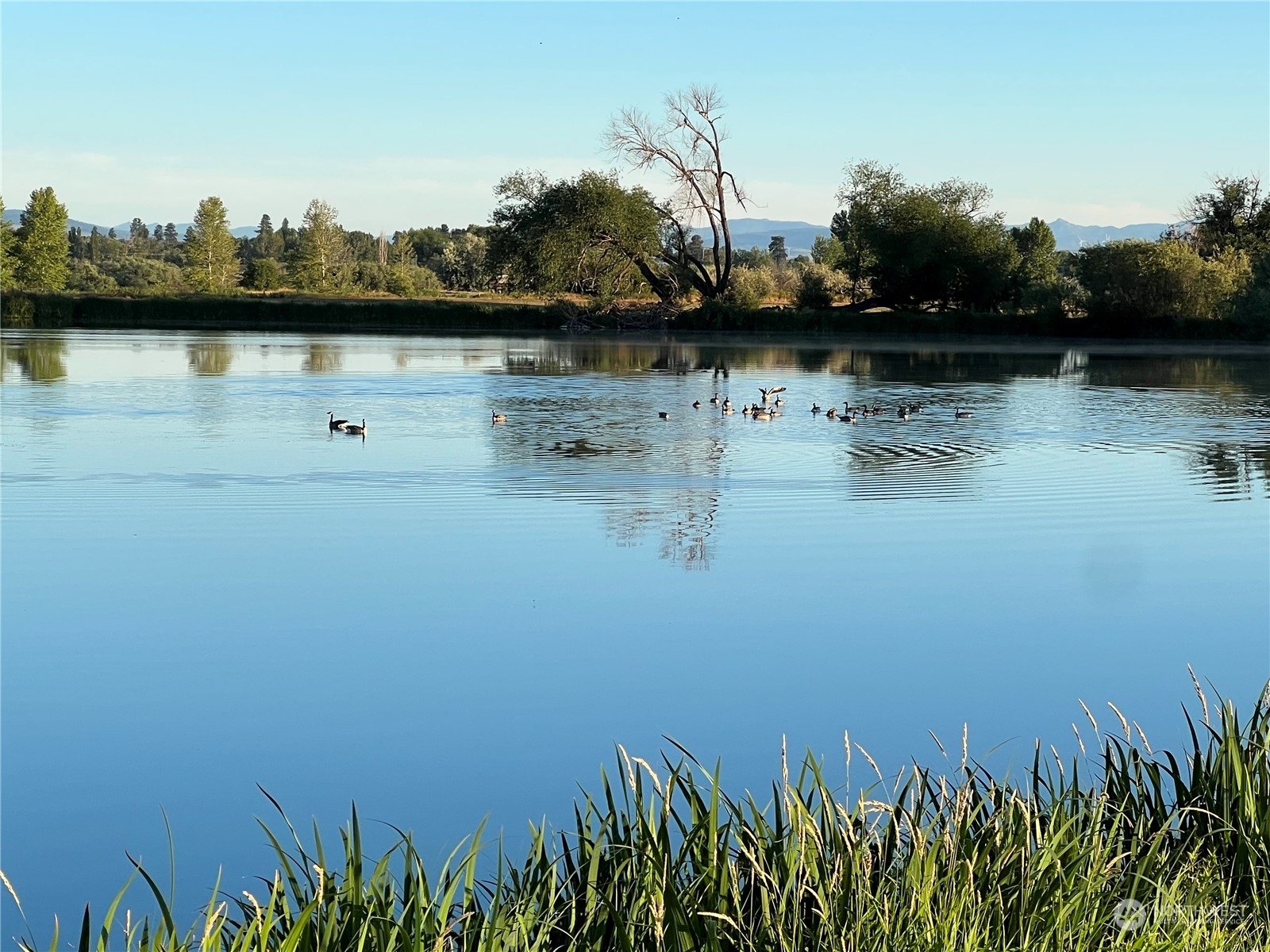 Property Photo: 0 Number 6 Road WA 98926