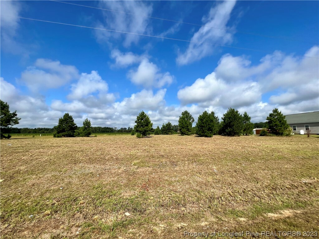 Property Photo:  Grassy Lane  NC 28384 