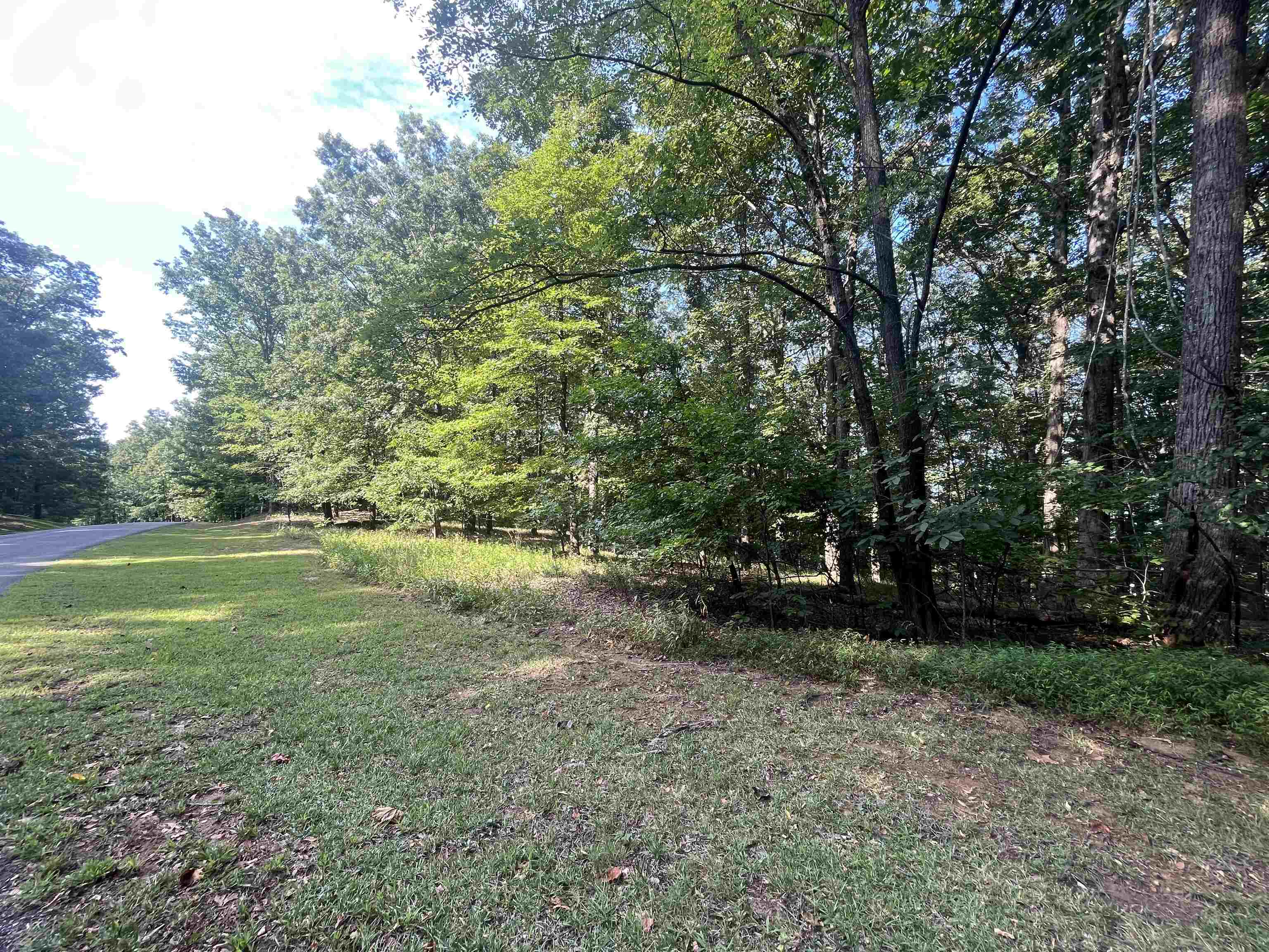 Property Photo:  0 Mountain Side Drive - Lot 33  GA 30528 