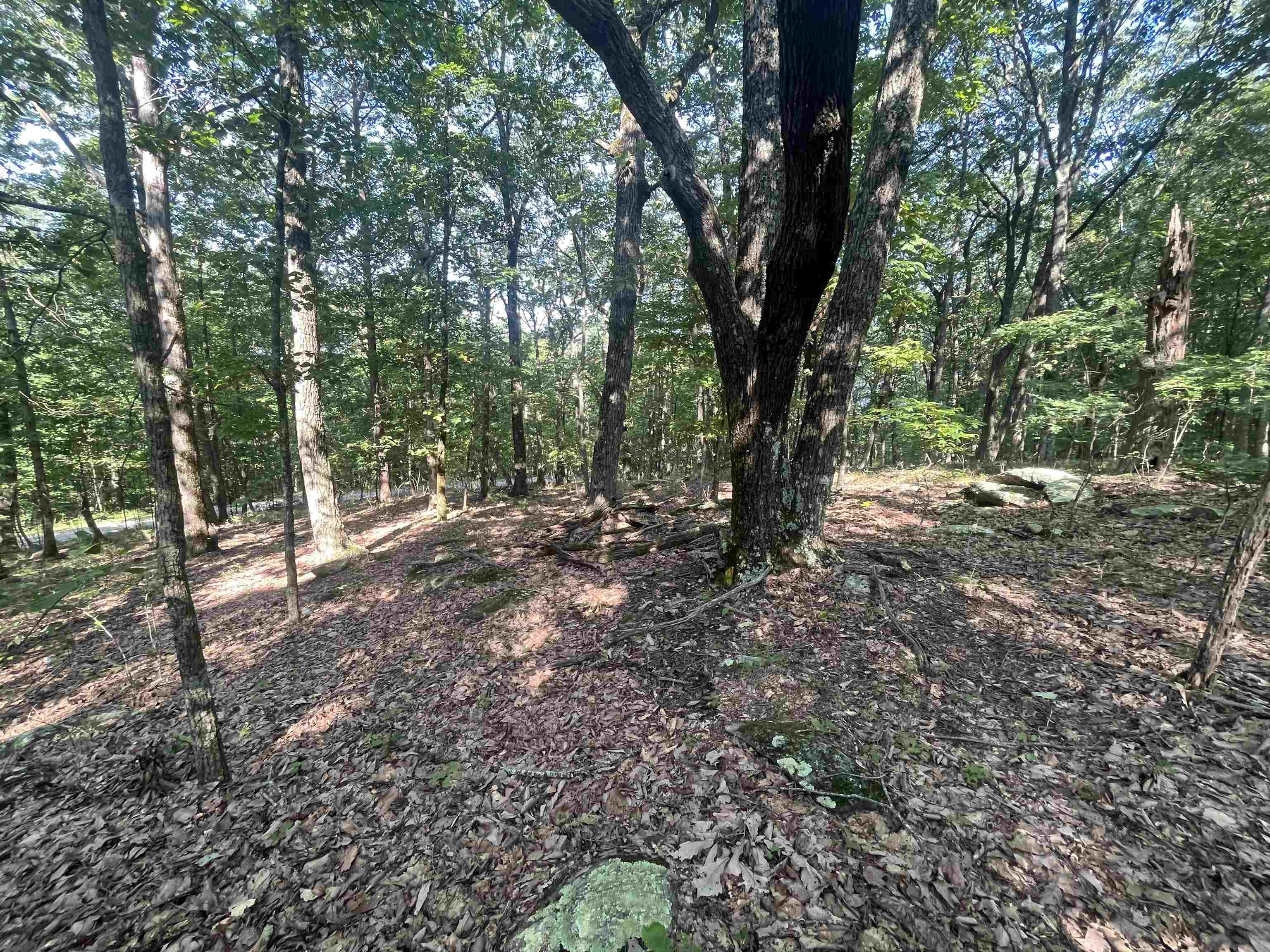 Property Photo:  0 Mountain Side Drive - Lot 33  GA 30528 